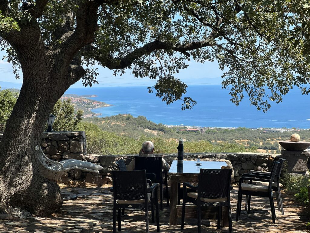 Visit Us 3 taste your olive oil in Greece