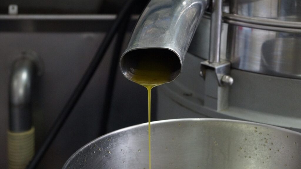 how olive oil is made