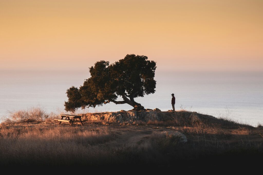 Rise of Intentional Living