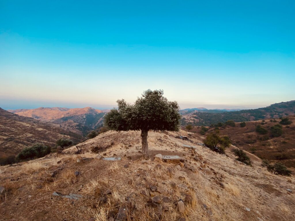 We Do Not Inherit the Earth We Borrow It From Tomorrow
