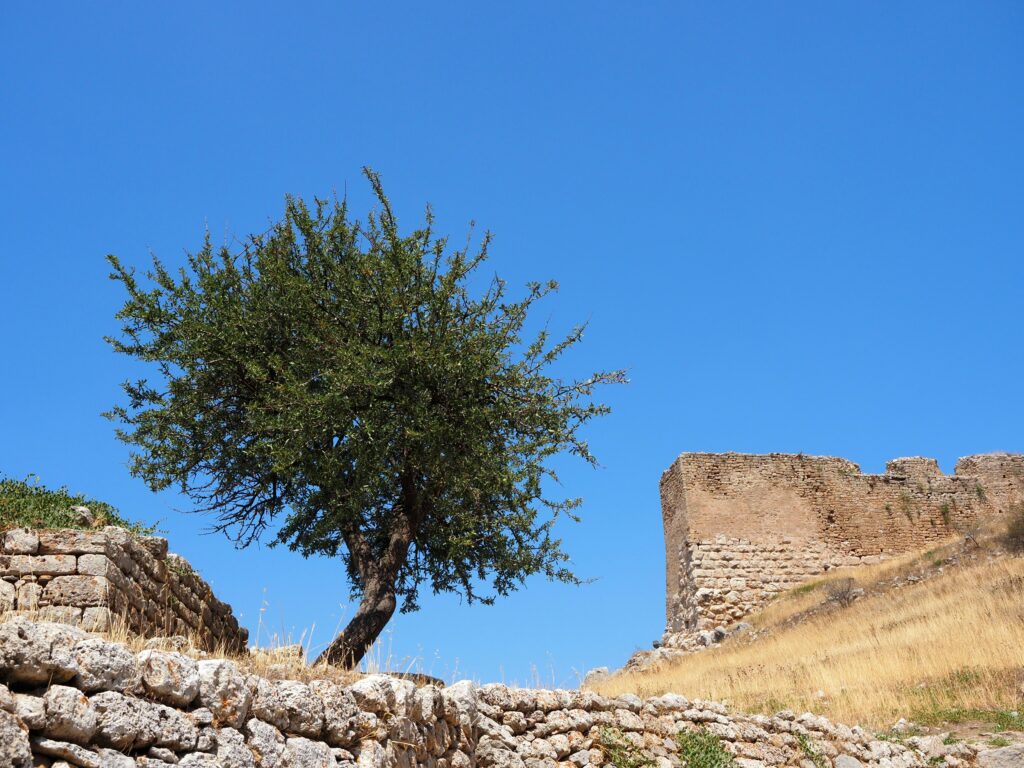 What Is Living Heritage