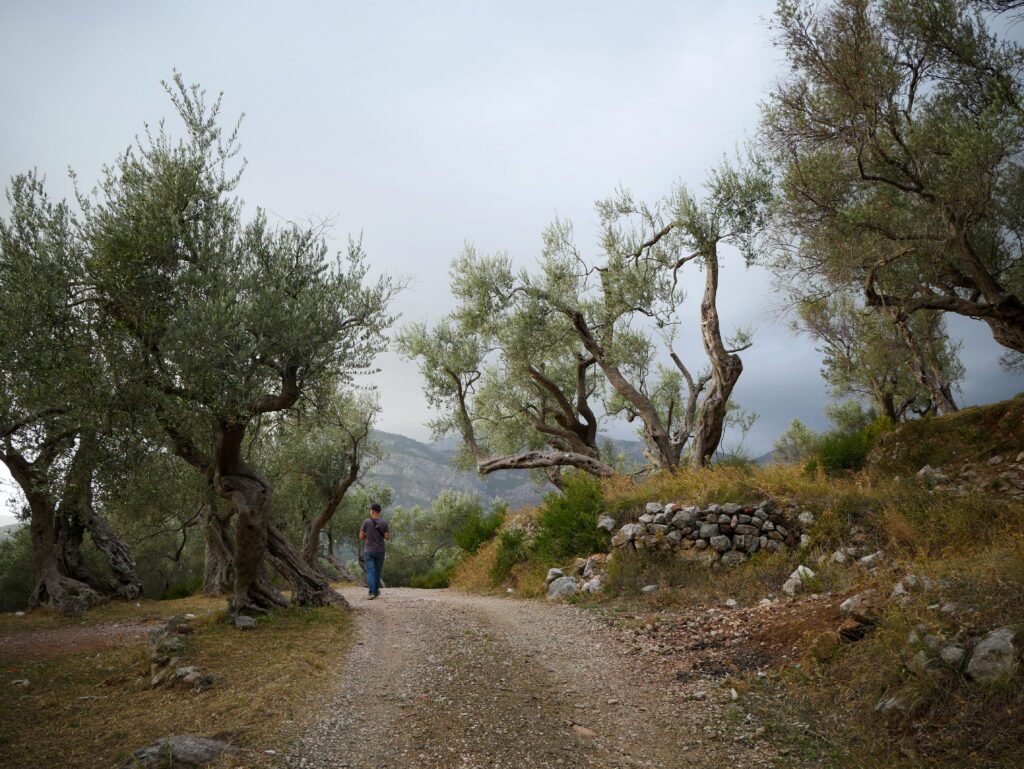 Why Certain Places Become Part of Who We Are