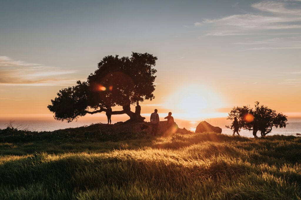 Family Identity Shared Stewardship