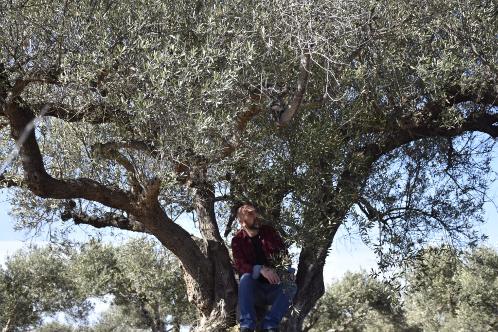 What It Feels Like to Stand Beside Your Tree for the First Time